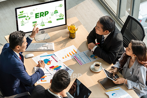 Comprehensive ERP Solutions